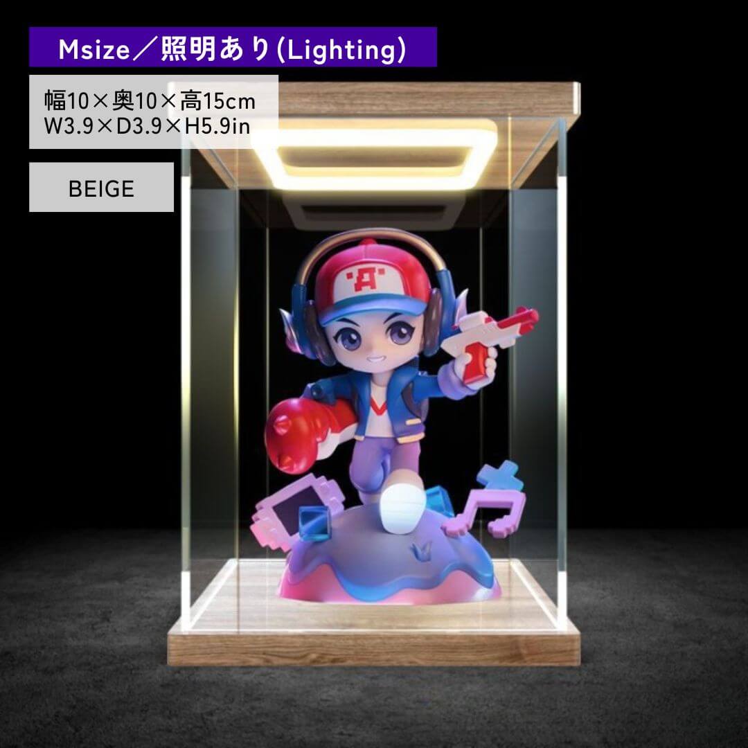 ライトステージフィギュアケース