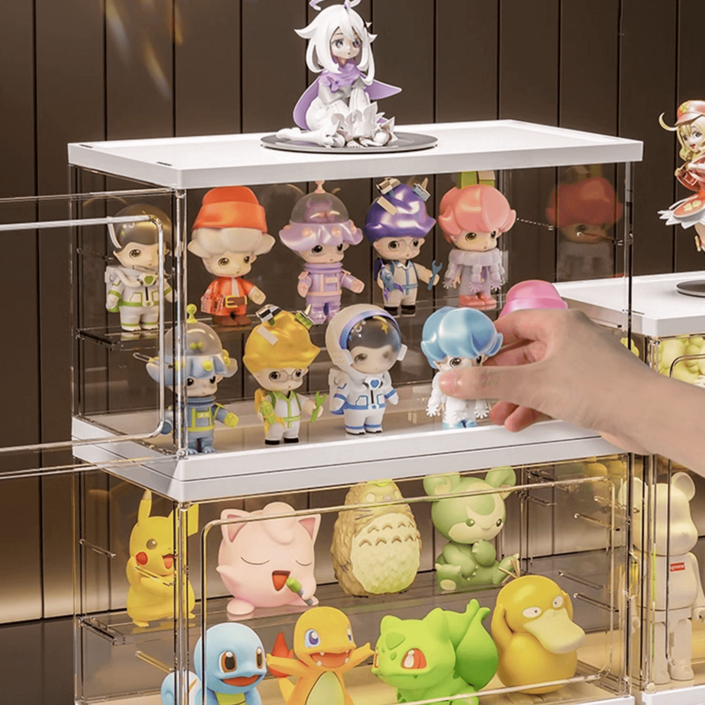 Vitrine avec séparateurs et portes